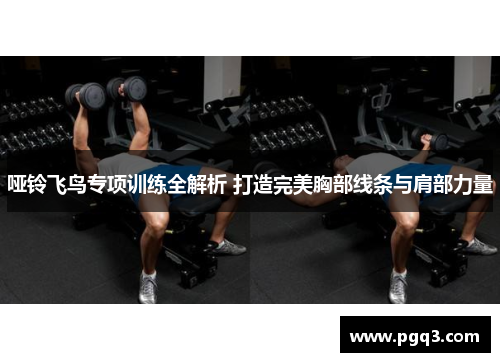 哑铃飞鸟专项训练全解析 打造完美胸部线条与肩部力量